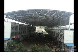 市场大棚与温室大棚中的钢结构网架 构建现代农业与商业空间的骨架